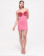 Margot Mini Dress Pink