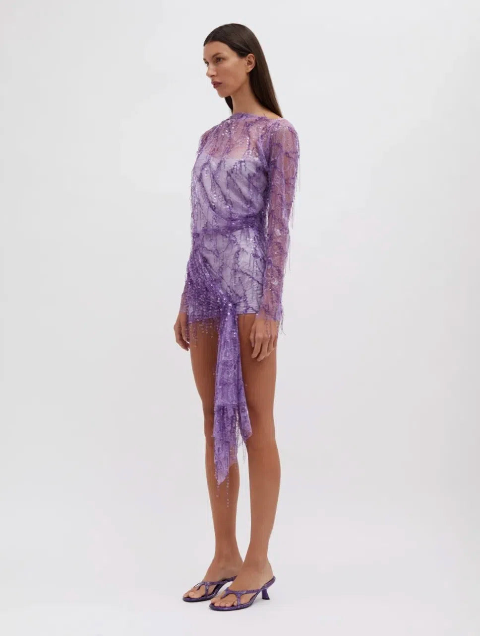Encased Beaded Ivy Lace Long Sleeve Mini Dress Grape