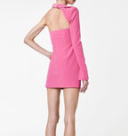 Claudio Mini Dress Pink